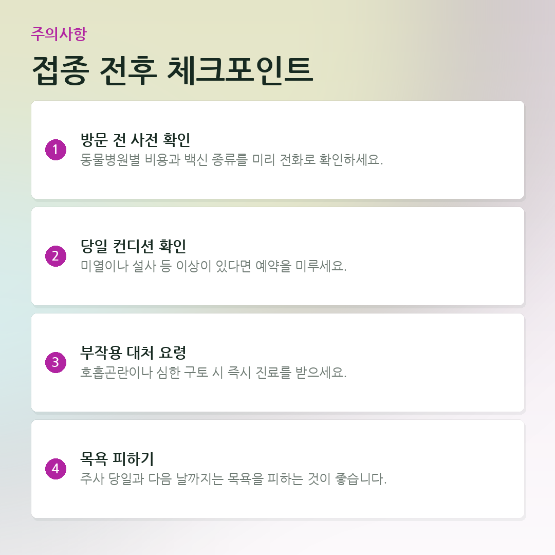 접종 전후 체크포인트 요약 카드