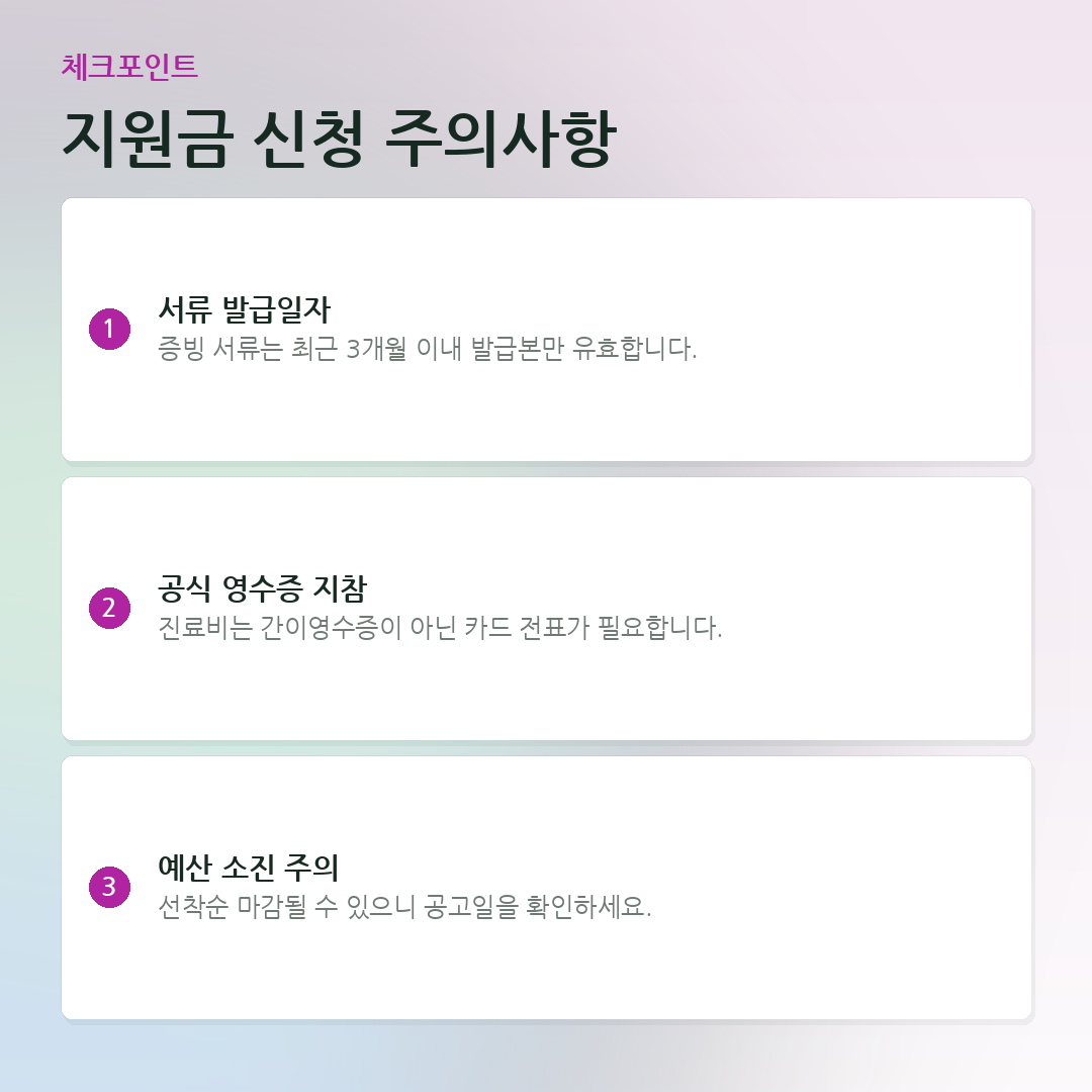 지원금 신청 주의사항 요약 카드