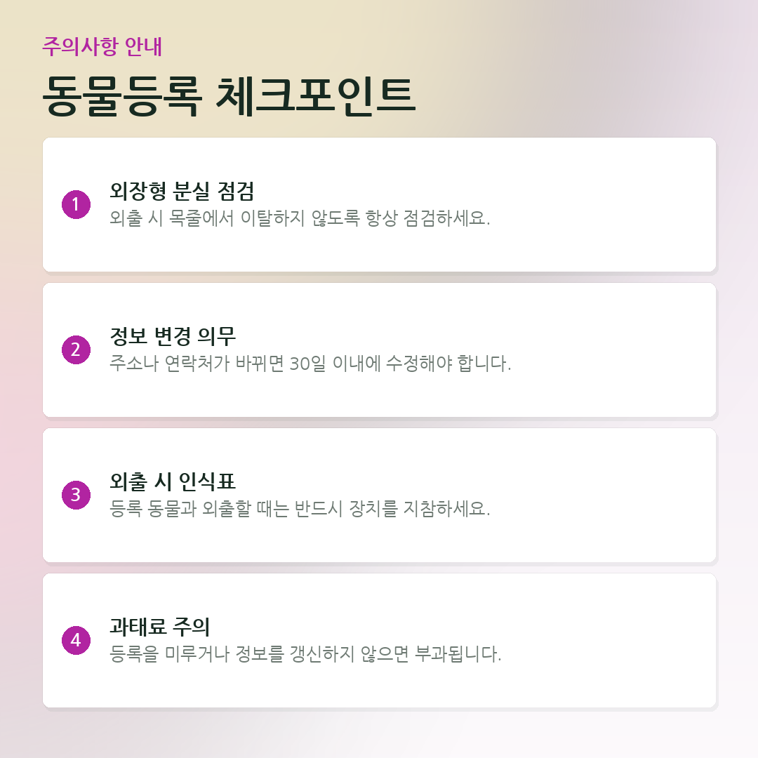 동물등록 체크포인트 요약 카드