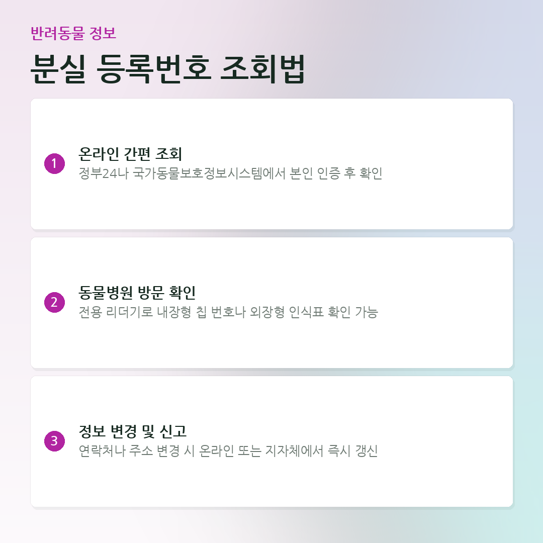 분실 등록번호 조회법 요약 카드