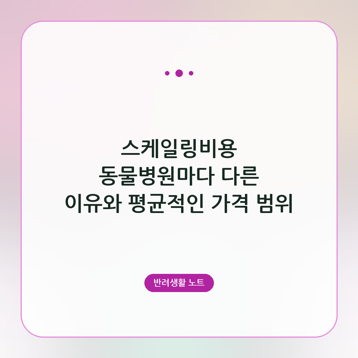스케일링비용 동물병원마다 다른 이유와 평균적인 가격 범위