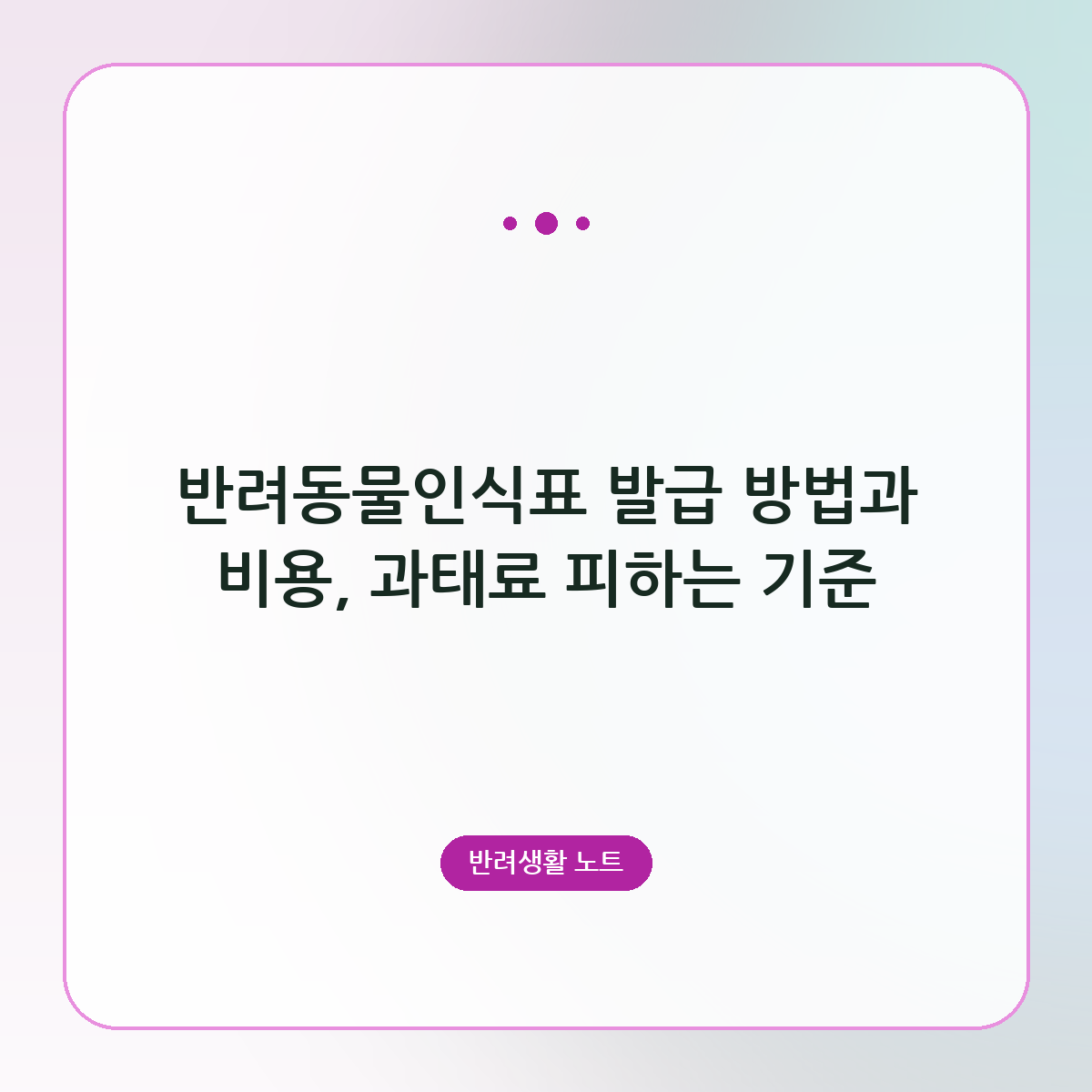 반려동물인식표 발급 방법과 비용, 과태료 피하는 기준