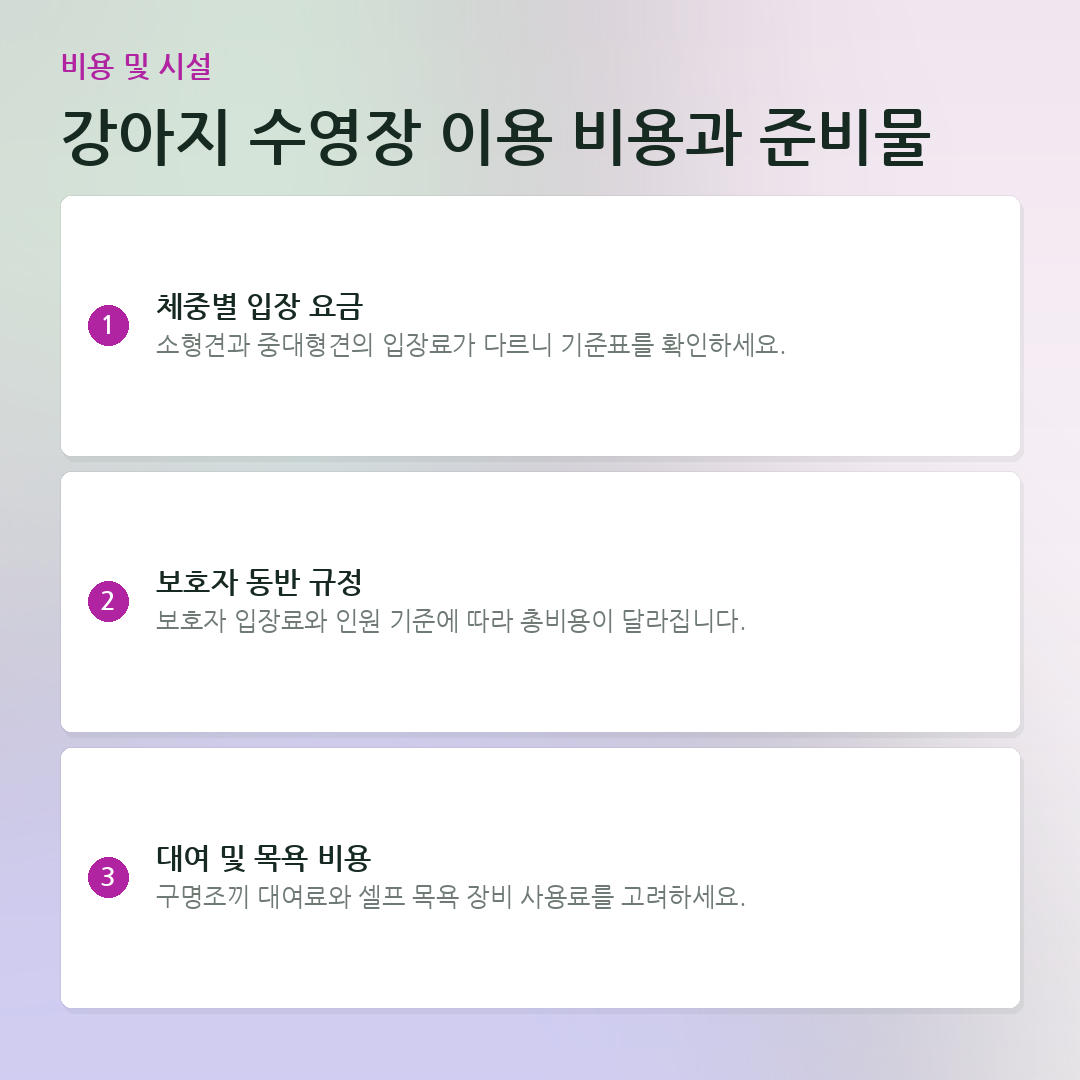 강아지 수영장 이용 비용과 준비물 요약 카드