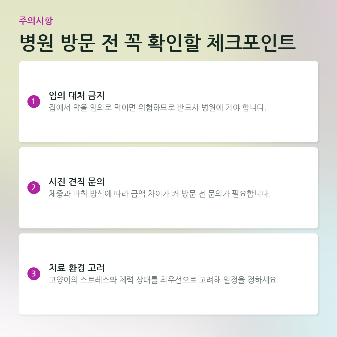 병원 방문 전 꼭 확인할 체크포인트 요약 카드