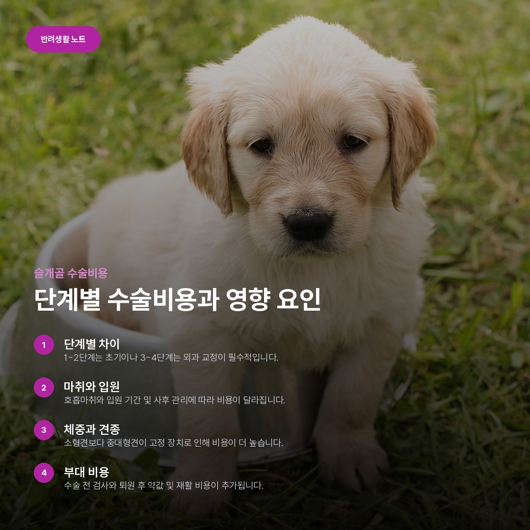 단계별 수술비용과 영향 요인 요약 카드