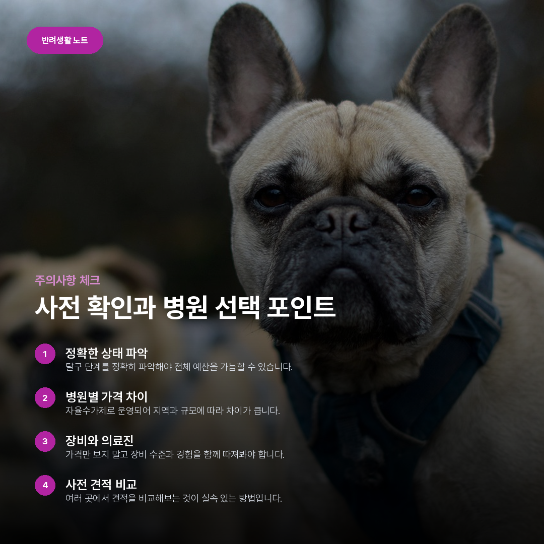 사전 확인과 병원 선택 포인트 요약 카드