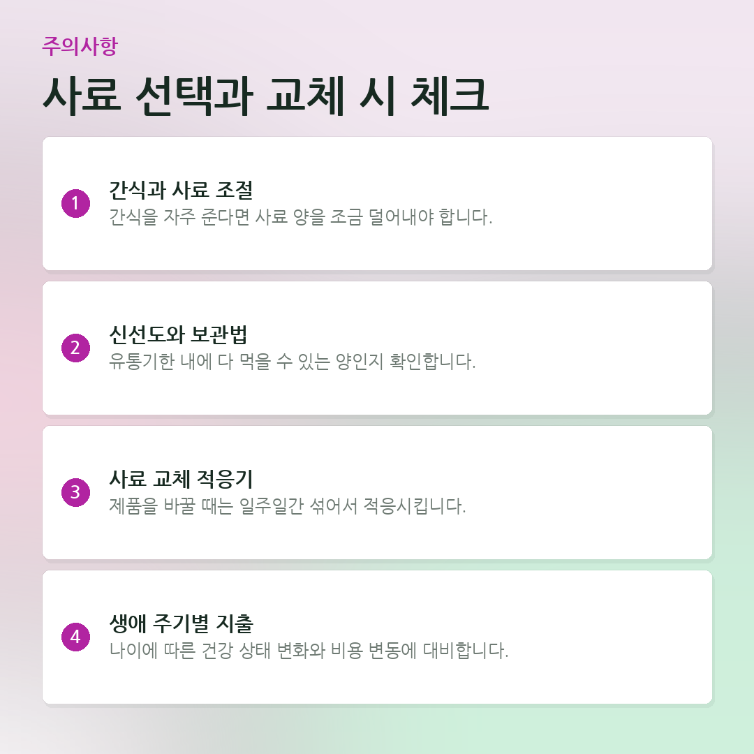 사료 선택과 교체 시 체크 요약 카드