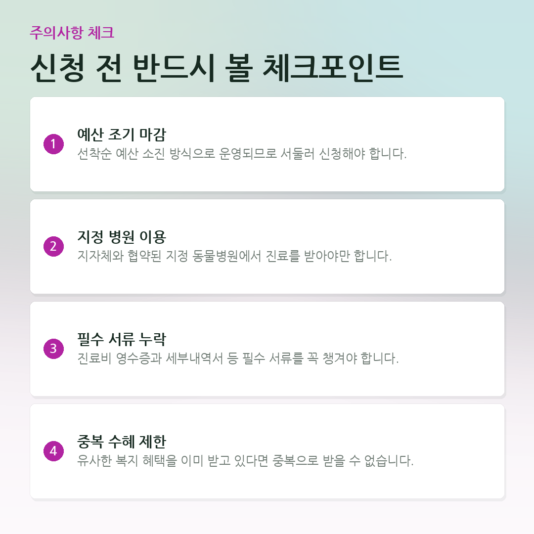 신청 전 반드시 볼 체크포인트 요약 카드