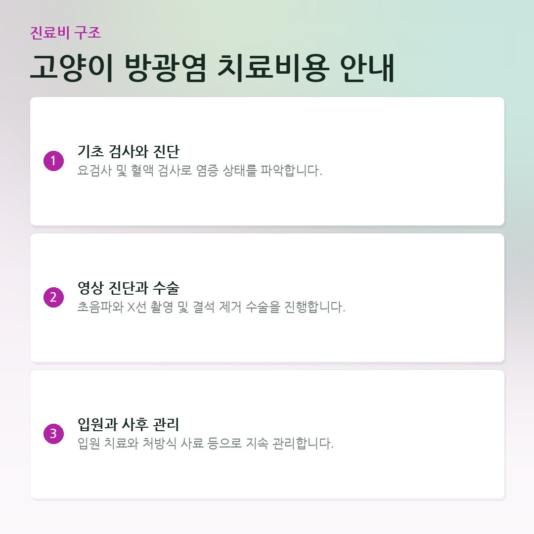고양이 방광염 치료비용 안내 요약 카드