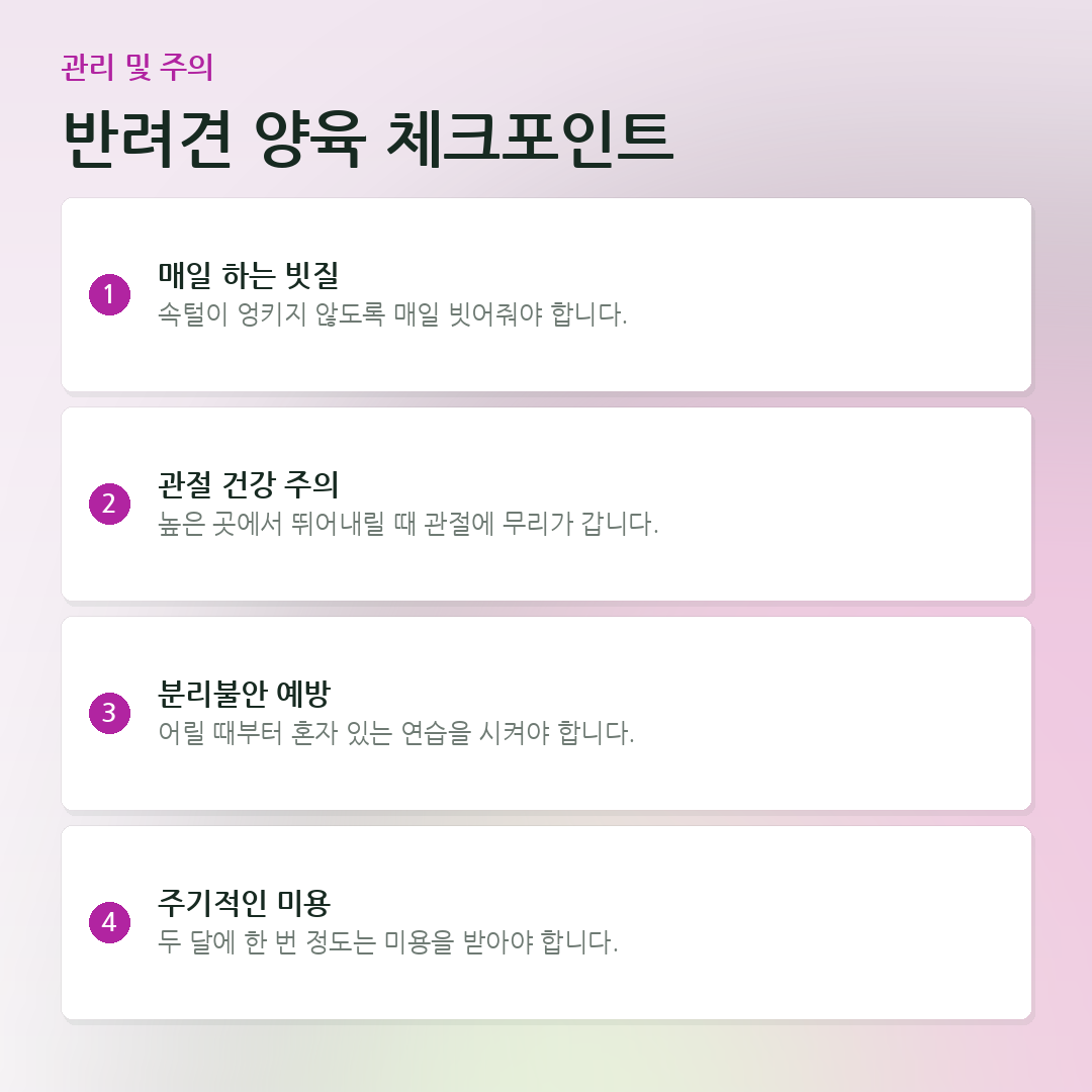 반려견 양육 체크포인트 요약 카드