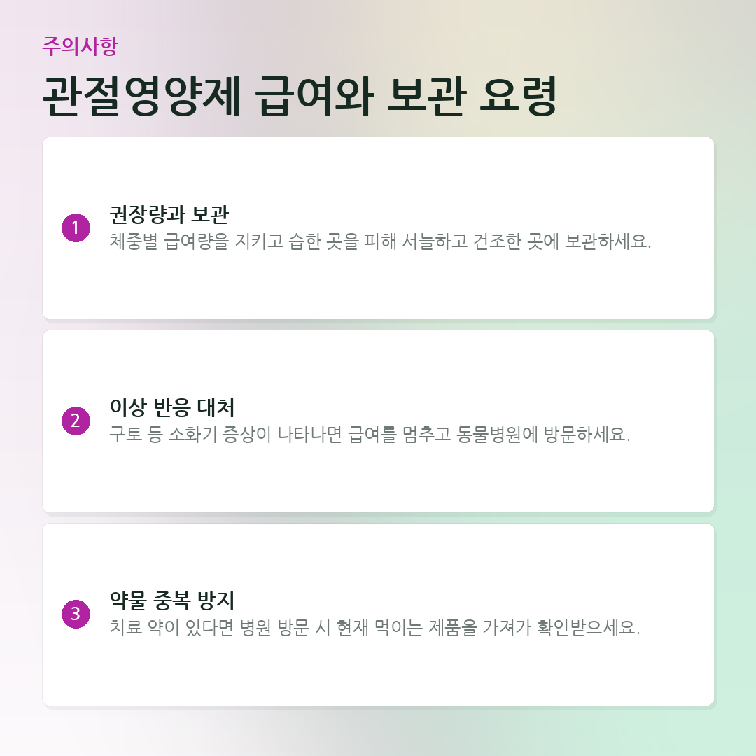 관절영양제 급여와 보관 요령 요약 카드