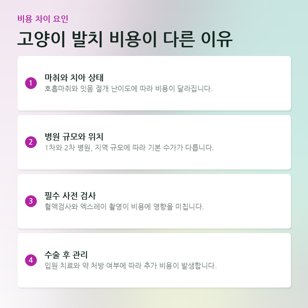 고양이 발치 비용이 다른 이유 요약 카드