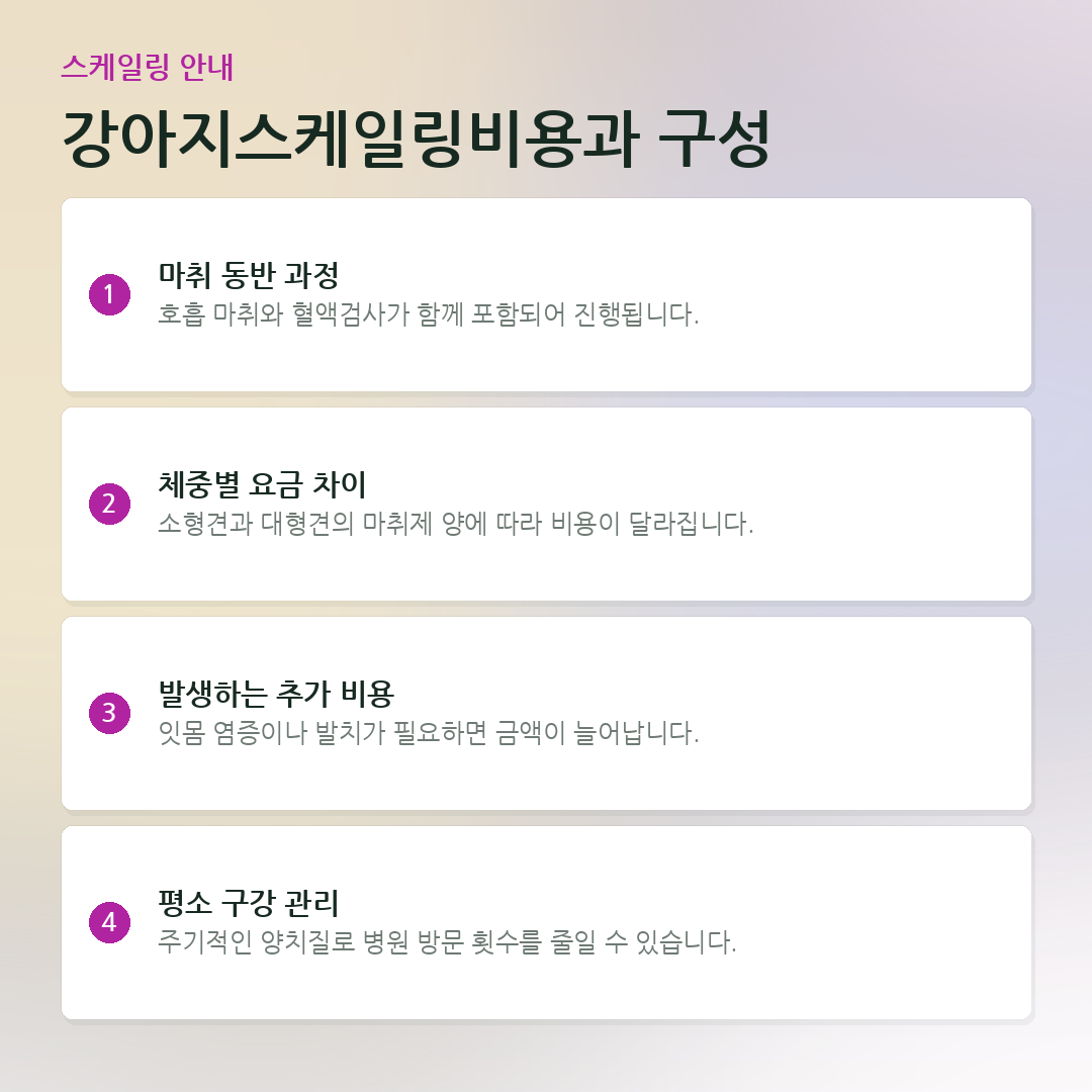 강아지스케일링비용과 구성 요약 카드