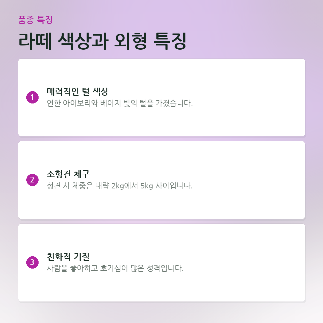 라떼 색상과 외형 특징 요약 카드