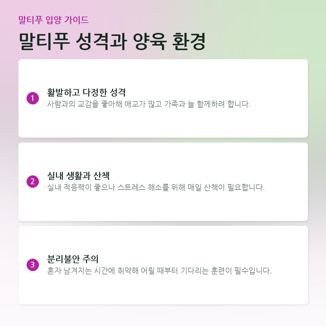 말티푸 성격과 양육 환경 요약 카드