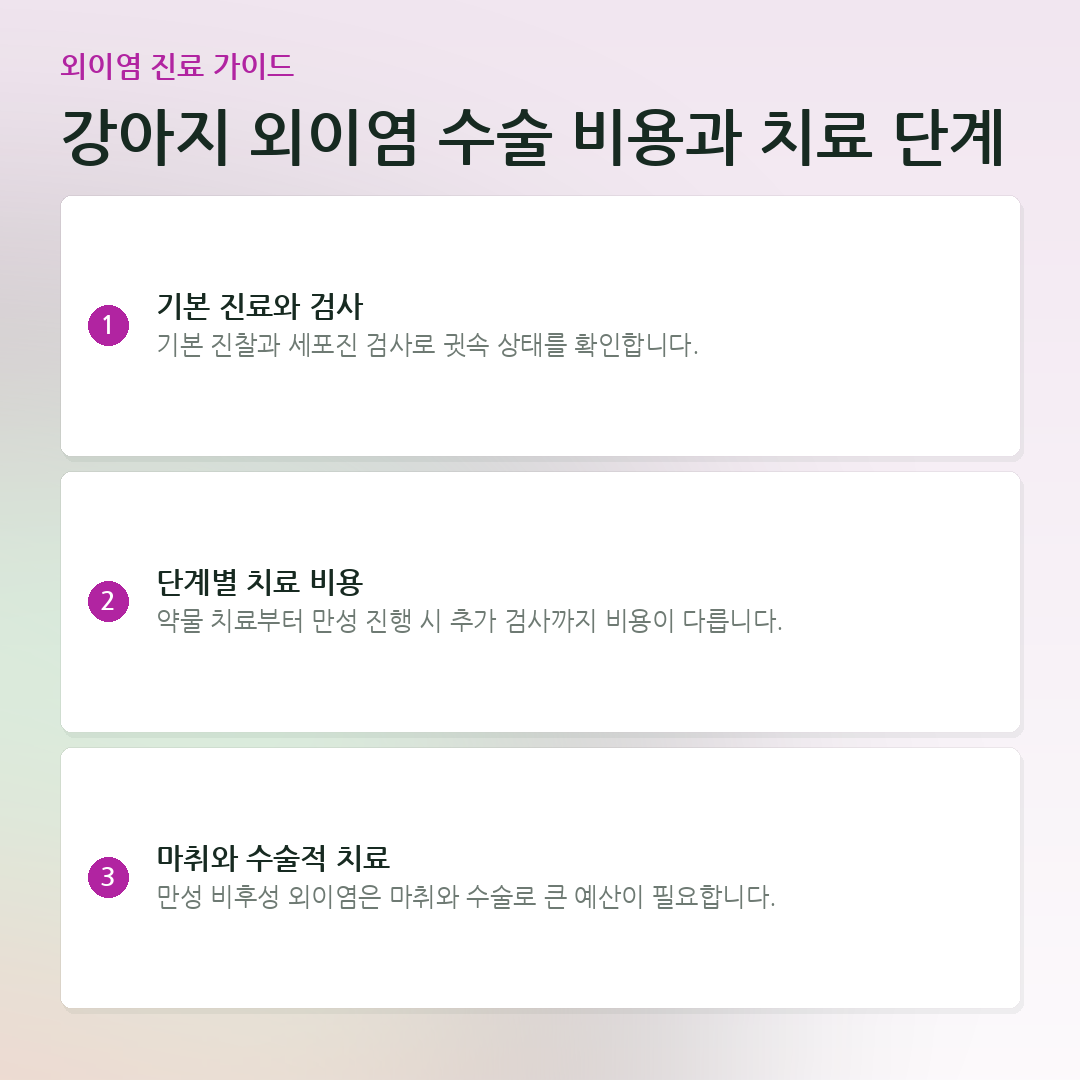 강아지 외이염 수술 비용과 치료 단계 요약 카드