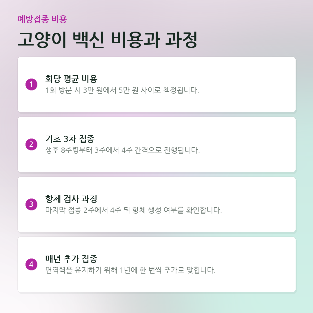 고양이 백신 비용과 과정 요약 카드