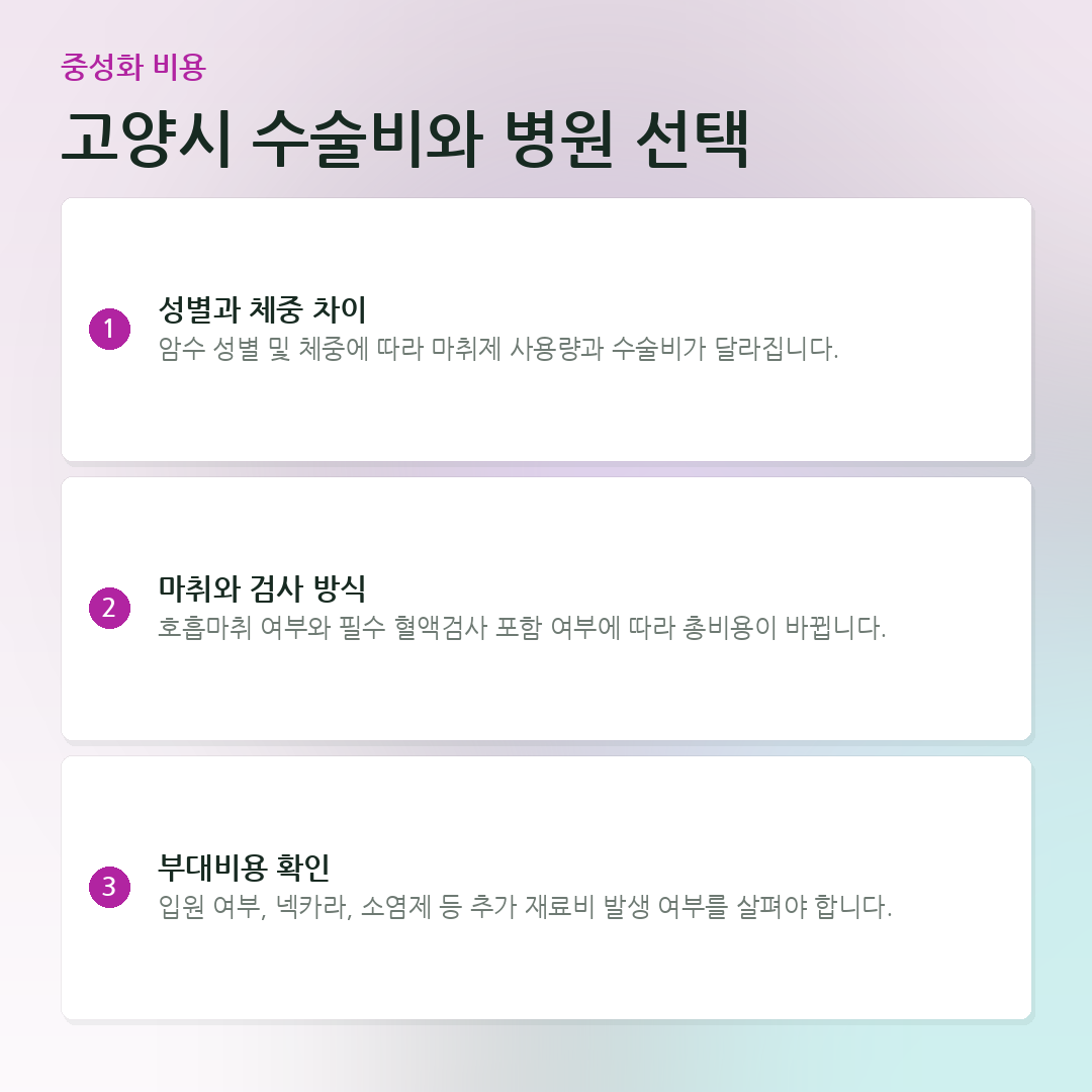 고양시 수술비와 병원 선택 요약 카드