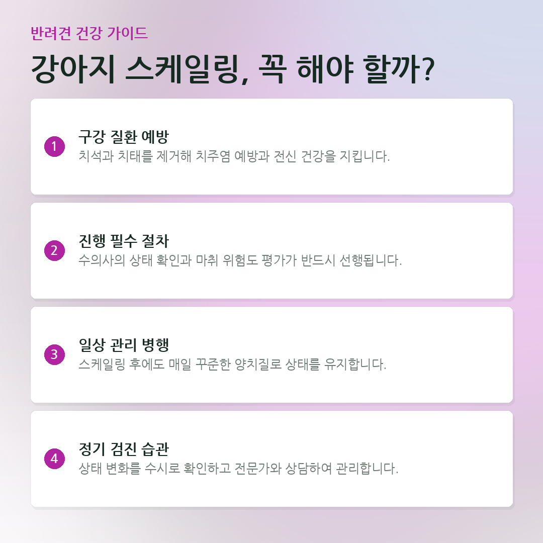강아지 스케일링, 꼭 해야 할까? 요약 카드