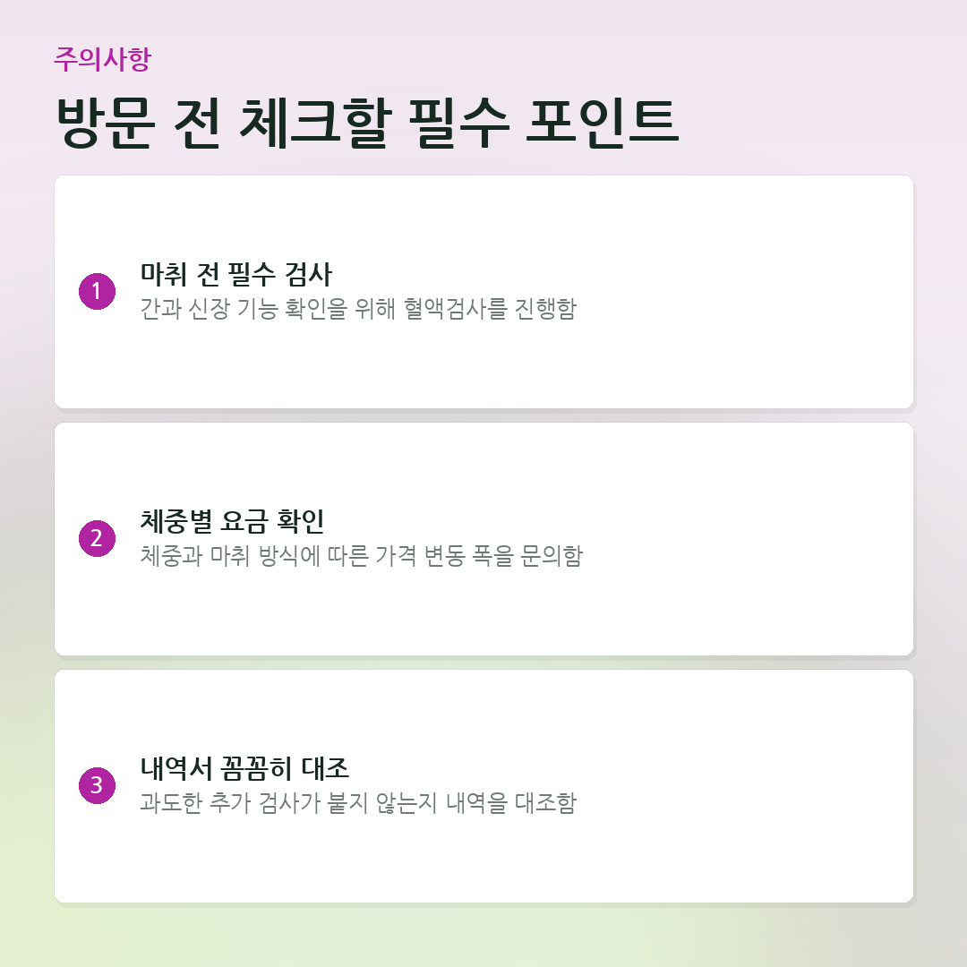 방문 전 체크할 필수 포인트 요약 카드