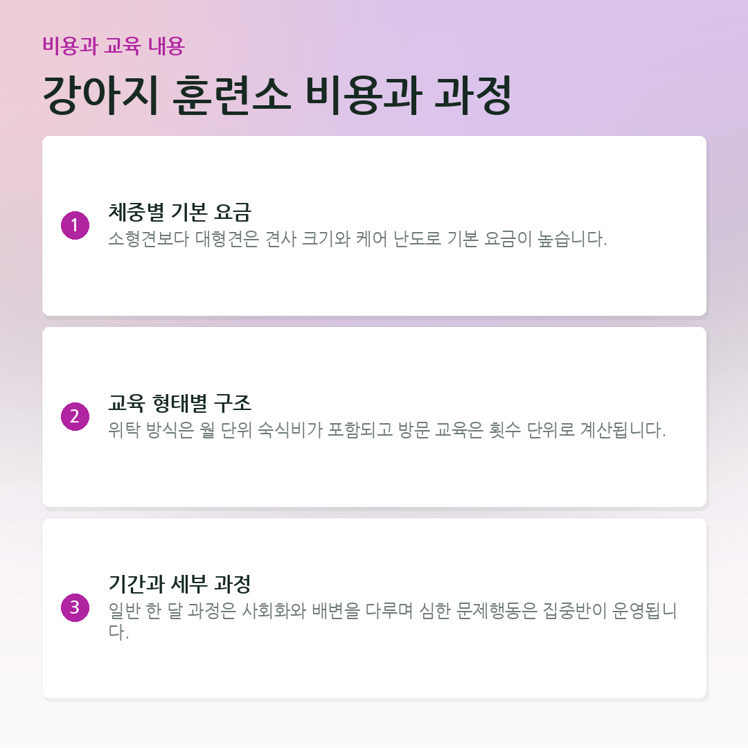 강아지 훈련소 비용과 과정 요약 카드