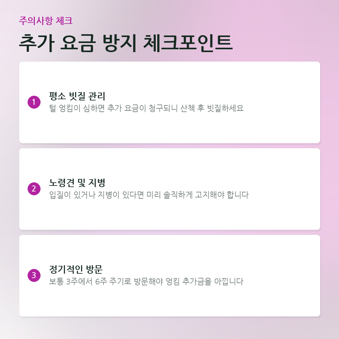 추가 요금 방지 체크포인트 요약 카드