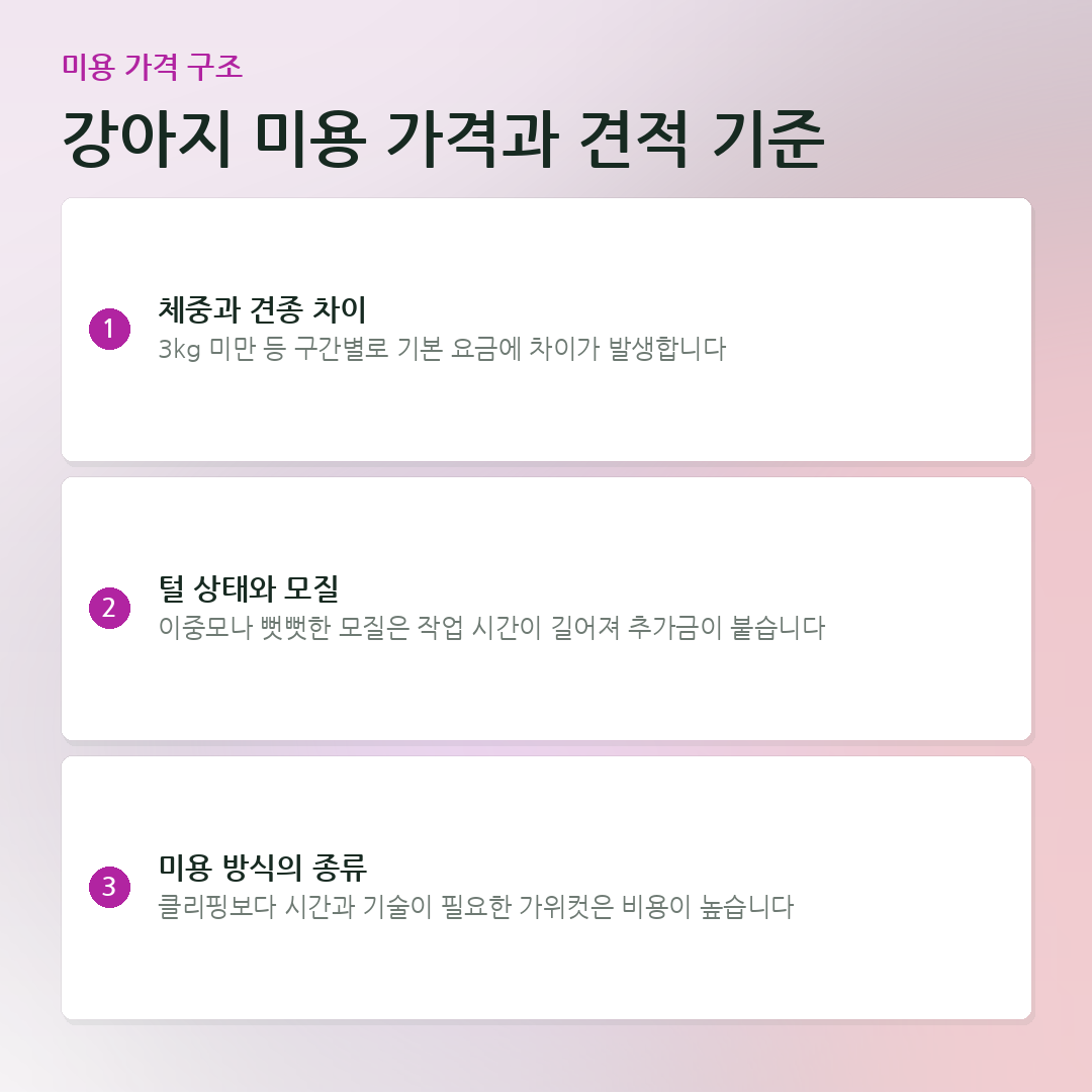 강아지 미용 가격과 견적 기준 요약 카드