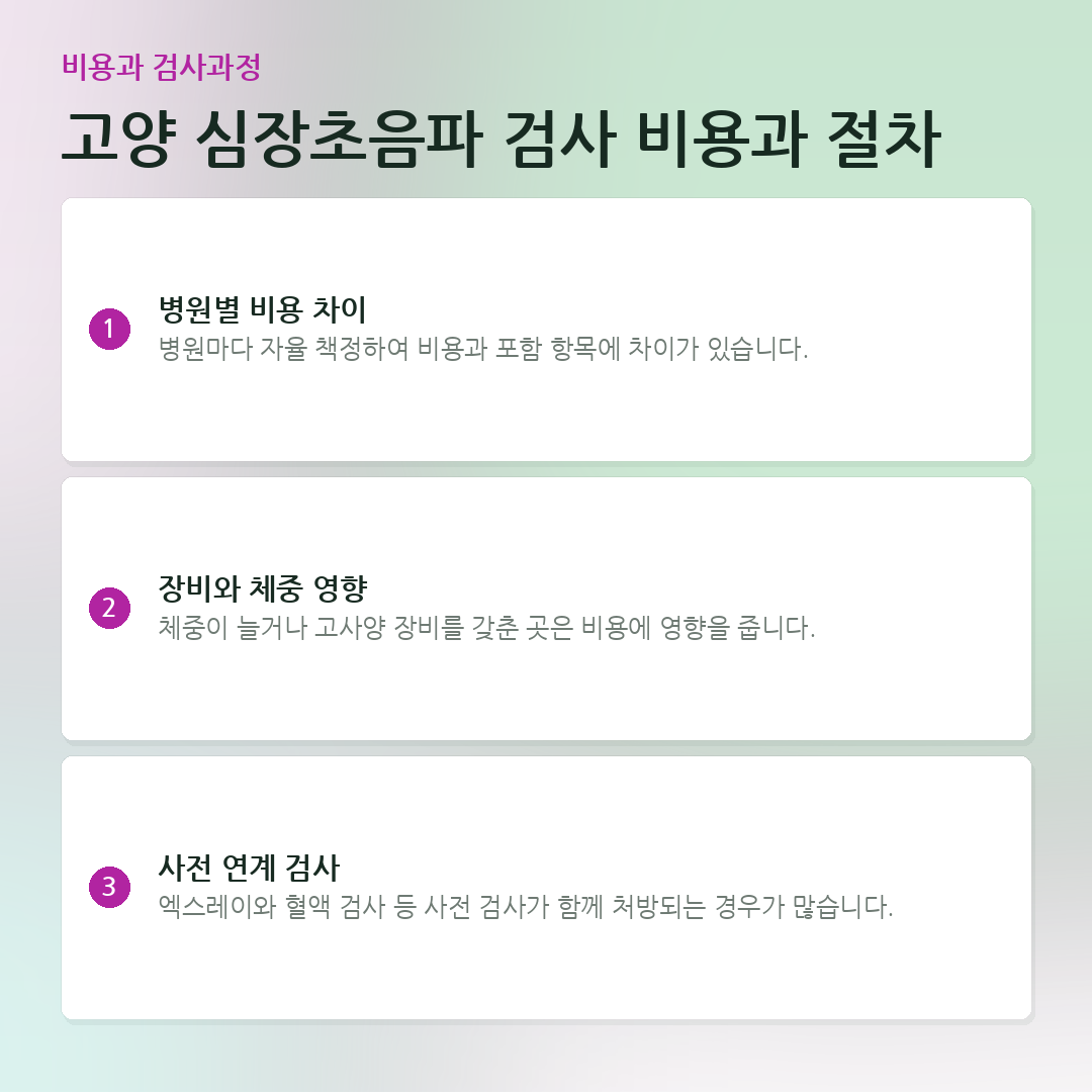 고양 심장초음파 검사 비용과 절차 요약 카드