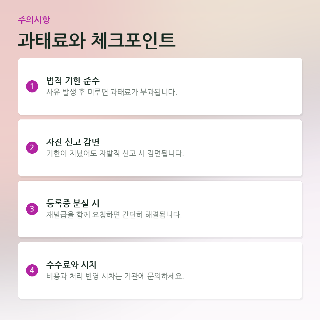 과태료와 체크포인트 요약 카드