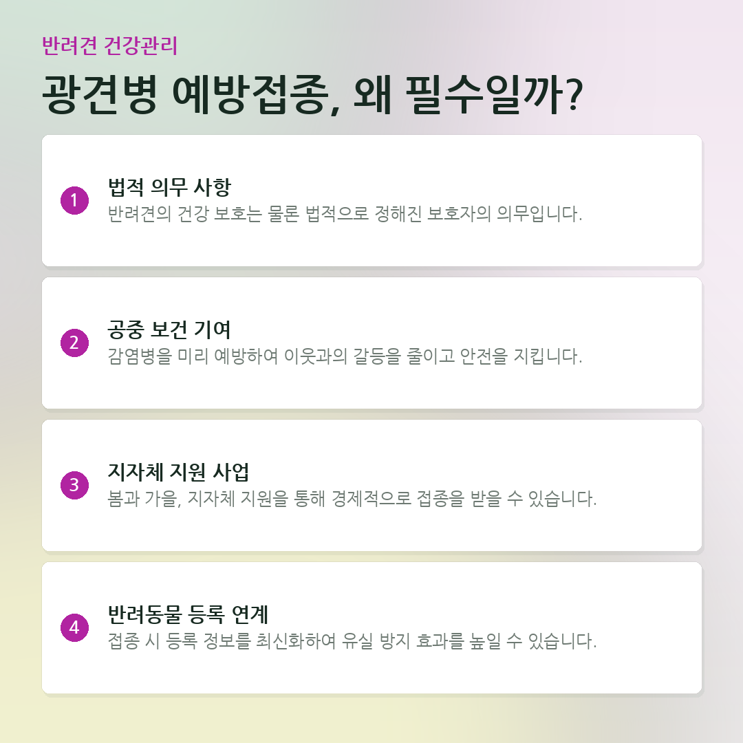 광견병 예방접종, 왜 필수일까? 요약 카드