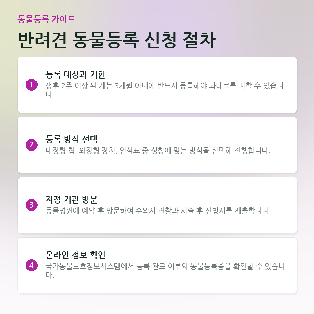 반려견 동물등록 신청 절차 요약 카드