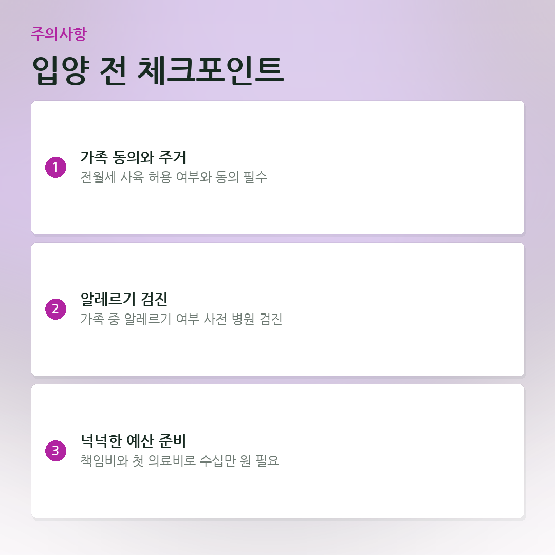 입양 전 체크포인트 요약 카드