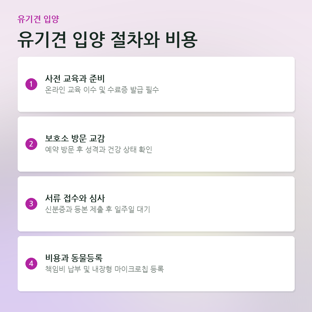 유기견 입양 절차와 비용 요약 카드