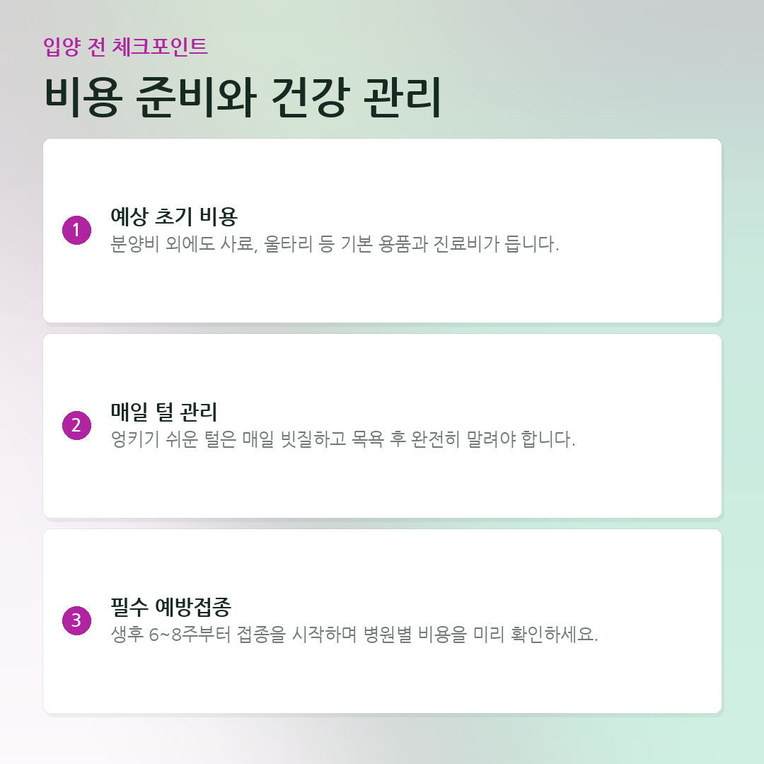 비용 준비와 건강 관리 요약 카드
