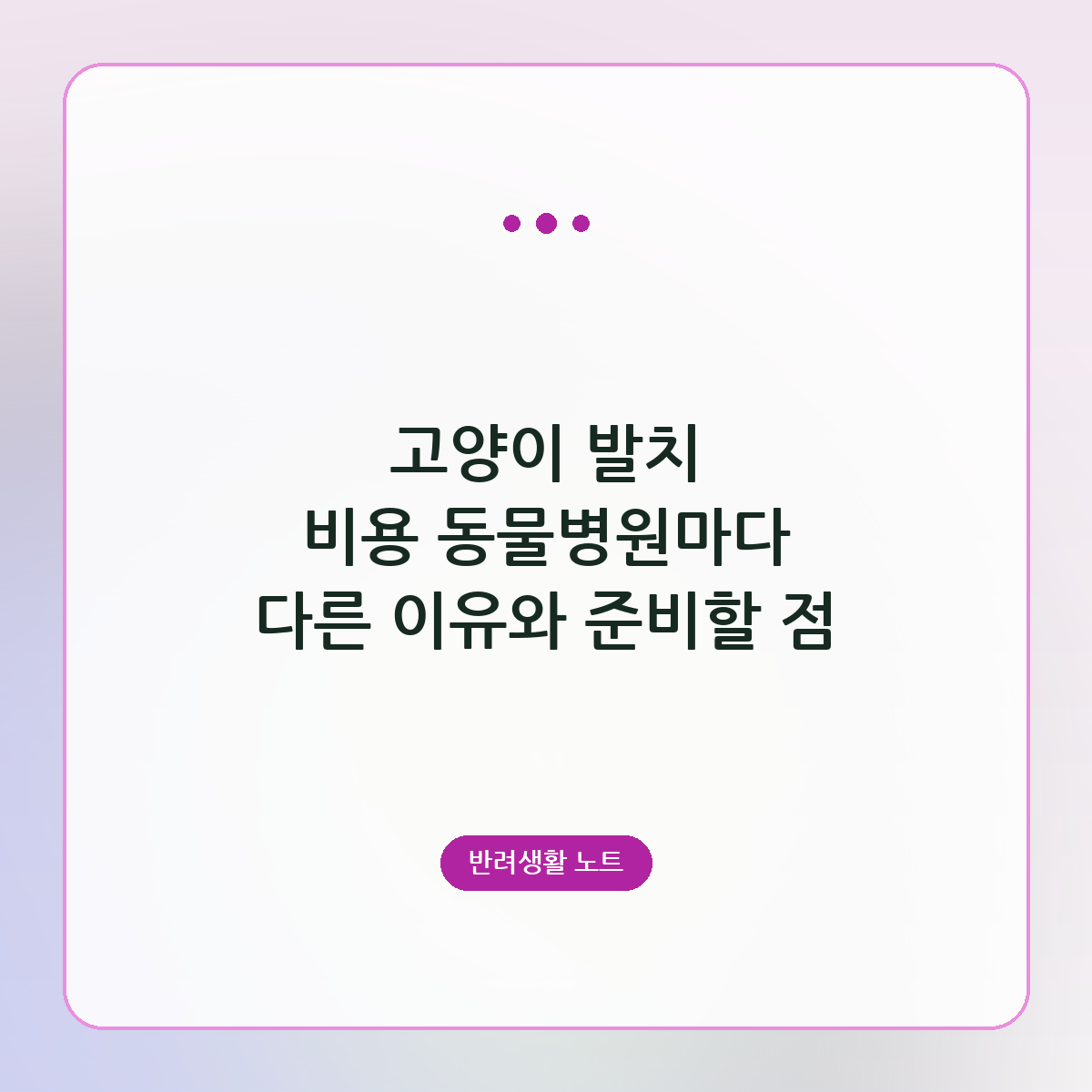 고양이 발치 비용 동물병원마다 다른 이유와 준비할 점