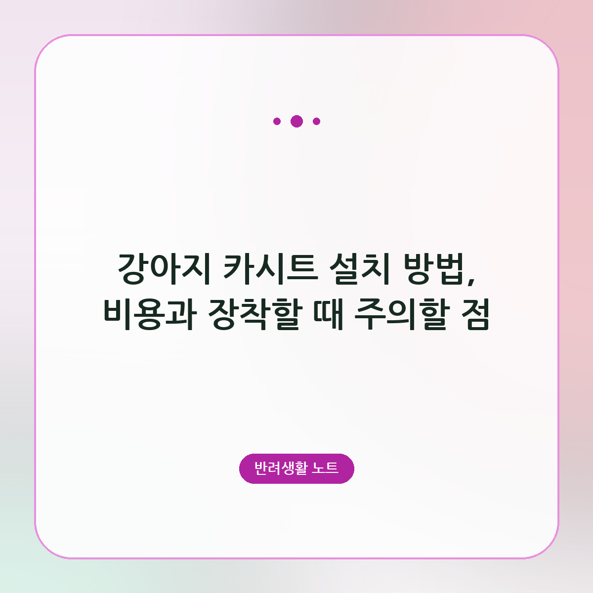 강아지 카시트 설치 방법, 비용과 장착할 때 주의할 점