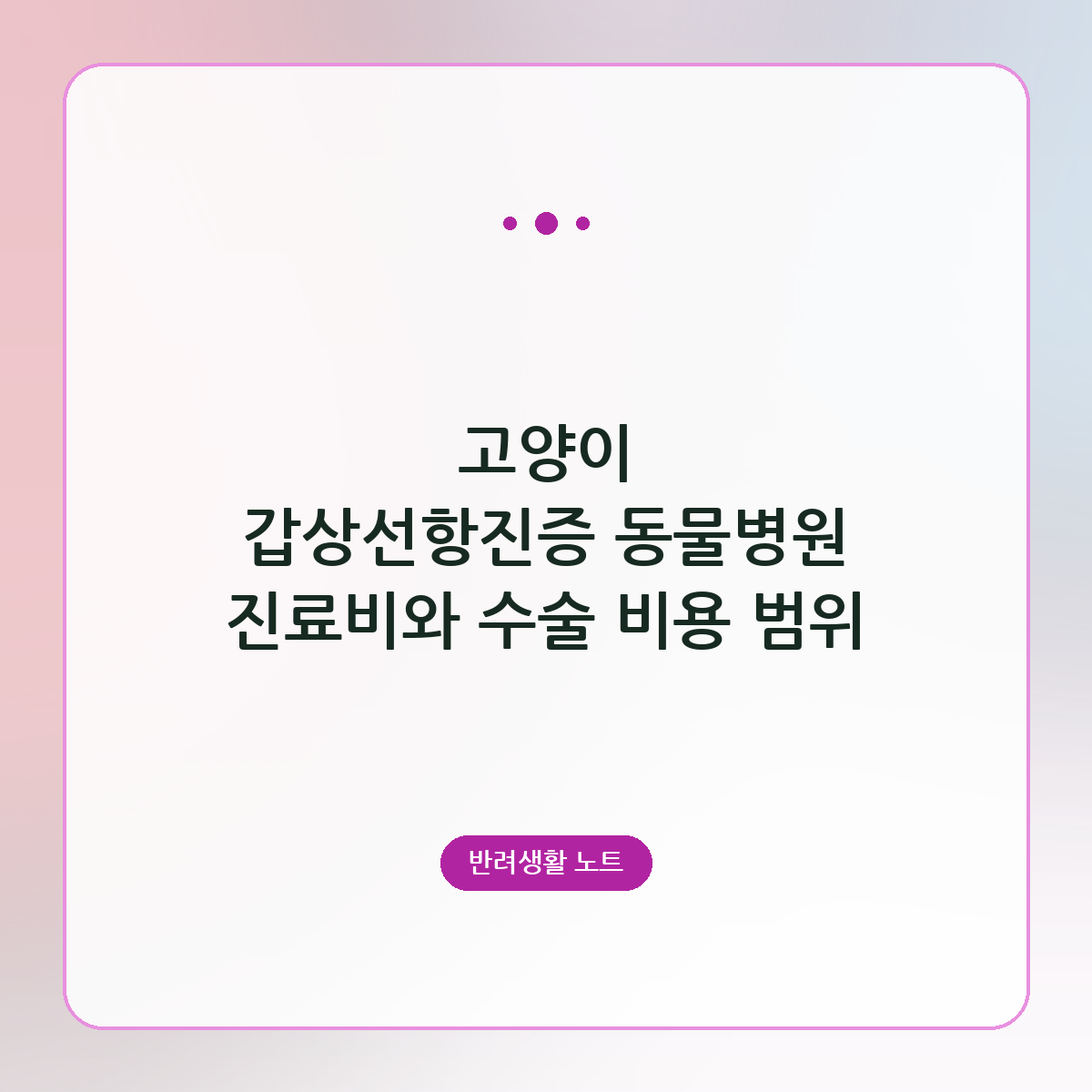 고양이 갑상선항진증 동물병원 진료비와 수술 비용 범위