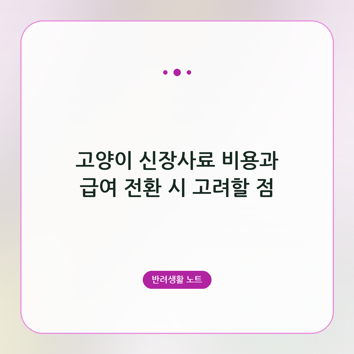 고양이 신장사료 비용과 급여 전환 시 고려할 점