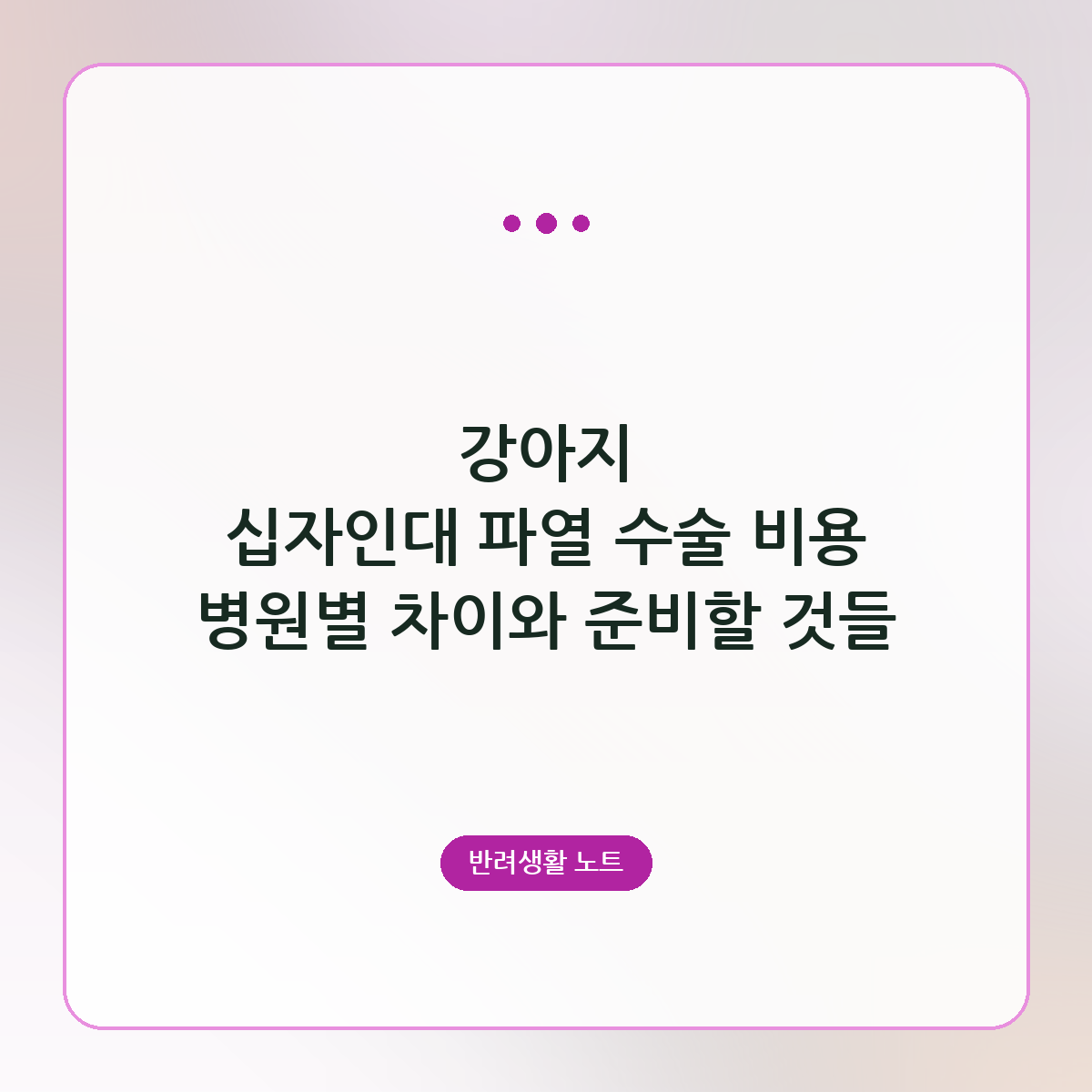 강아지 십자인대 파열 수술 비용 병원별 차이와 준비할 것들