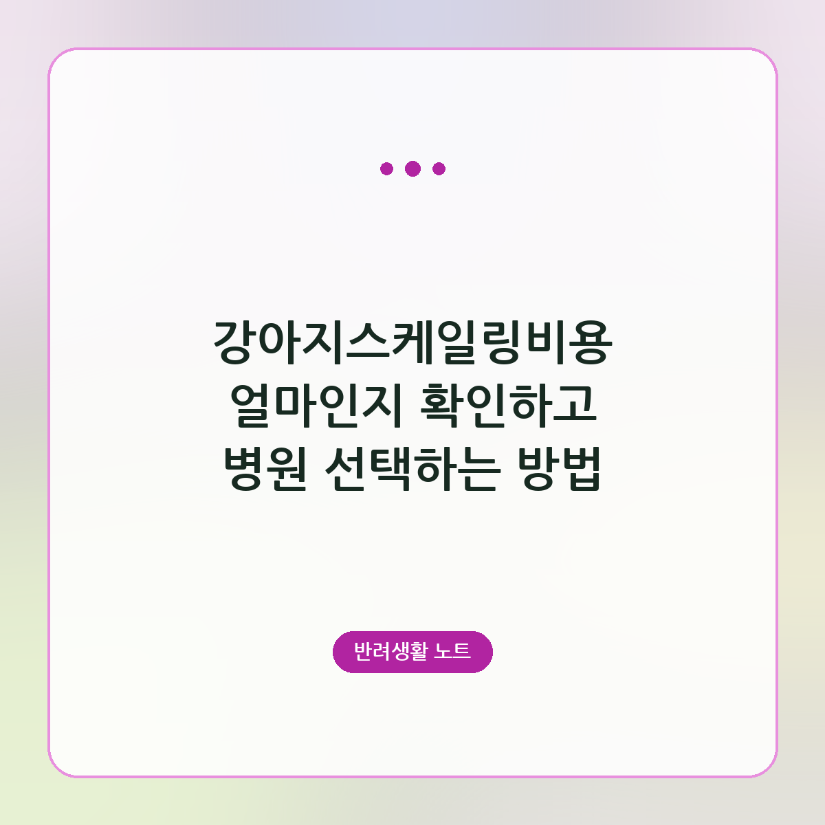 강아지스케일링비용 얼마인지 확인하고 병원 선택하는 방법