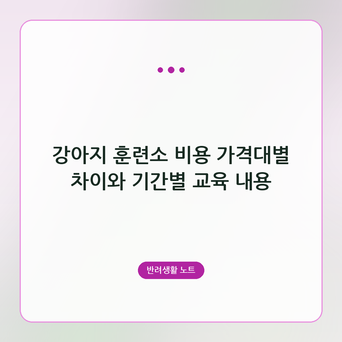 강아지 훈련소 비용 가격대별 차이와 기간별 교육 내용