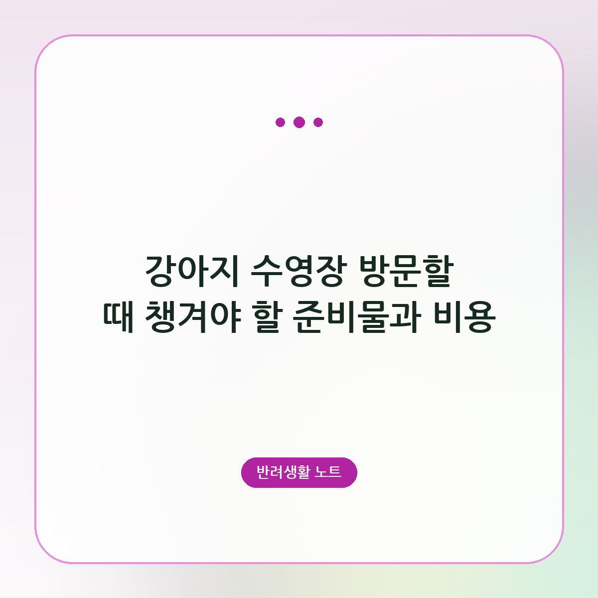 강아지 수영장 방문할 때 챙겨야 할 준비물과 비용