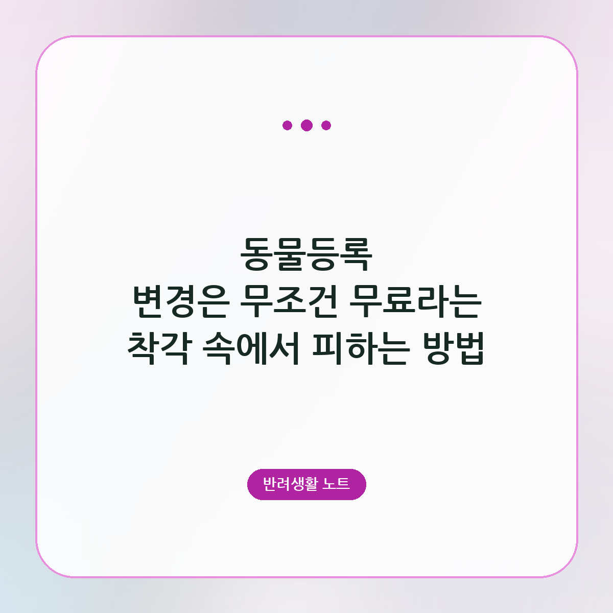 동물등록 변경은 무조건 무료라는 착각 속에서 피하는 방법