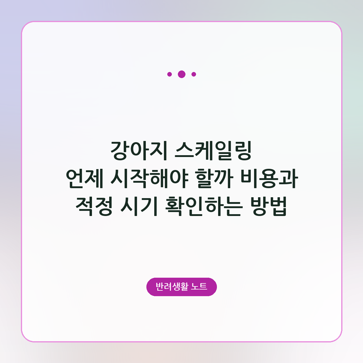 강아지 스케일링 언제 시작해야 할까 비용과 적정 시기 확인하는 방법