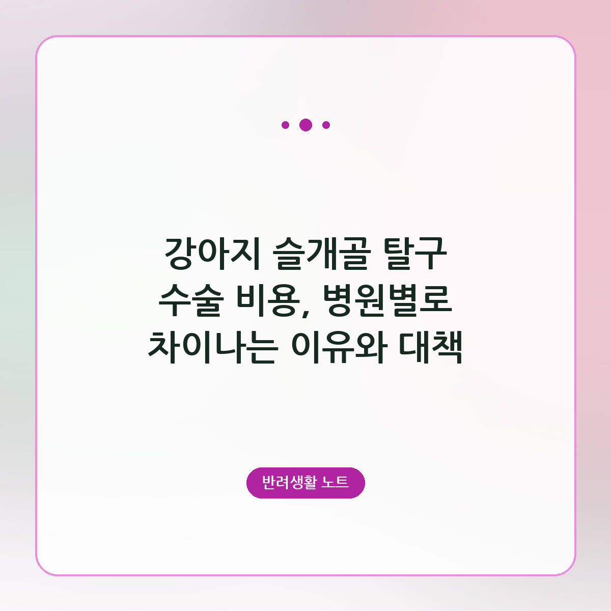 강아지 슬개골 탈구 수술 비용, 병원별로 차이나는 이유와 대책