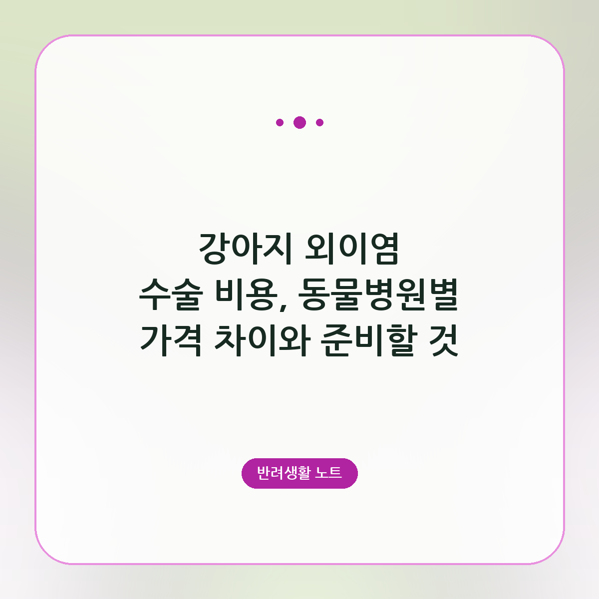 강아지 외이염 수술 비용, 동물병원별 가격 차이와 준비할 것