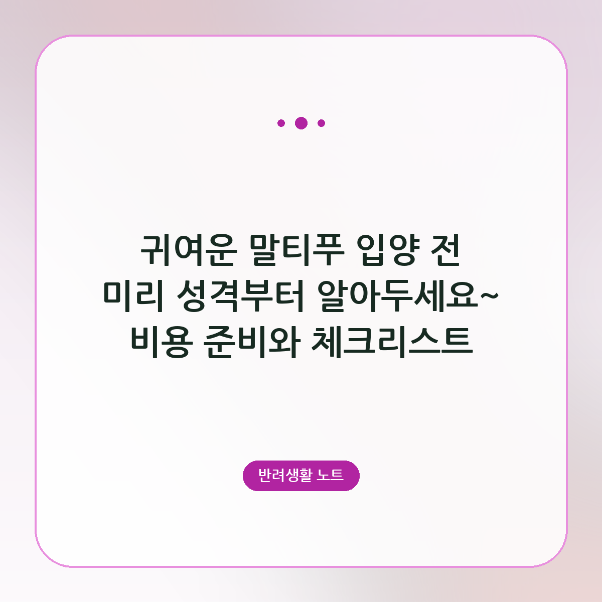 귀여운 말티푸 입양 전 미리 성격부터 알아두세요~ 비용 준비와 체크리스트
