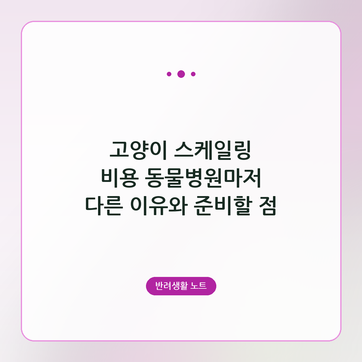 고양이 스케일링 비용 동물병원마저 다른 이유와 준비할 점