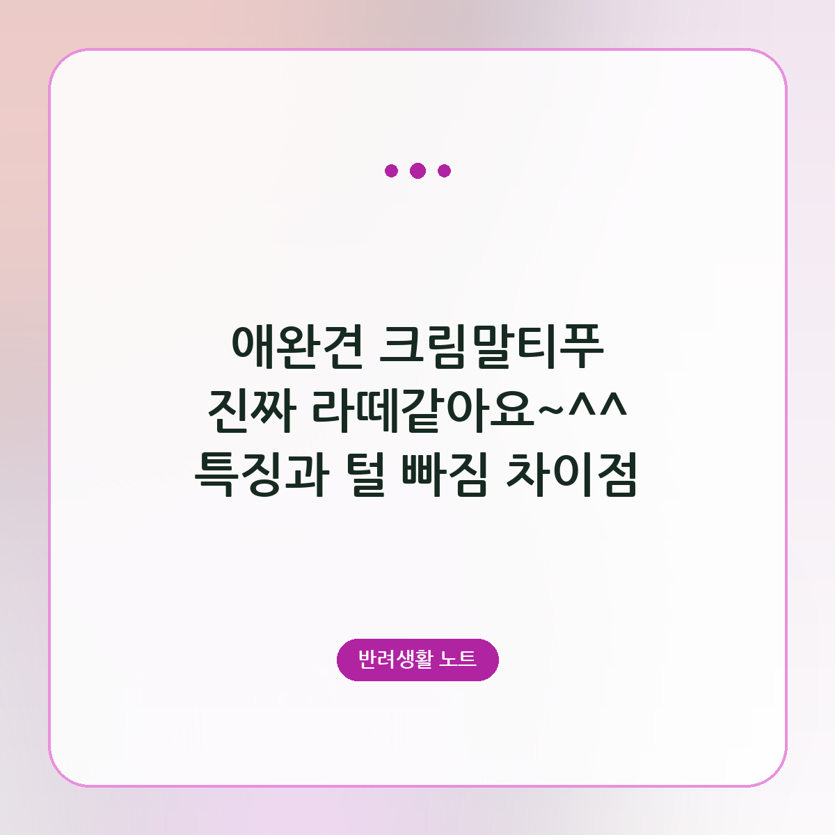애완견 크림말티푸 진짜 라떼같아요~^^ 특징과 털 빠짐 차이점