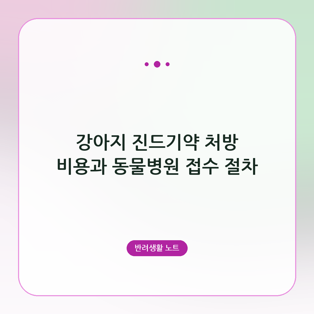 강아지 진드기약 처방 비용과 동물병원 접수 절차